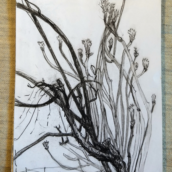 EdinburghGardenSketchbook-3