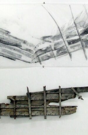 Fulmars, drawing on trace with found object, 90cm x 250cm, 2010