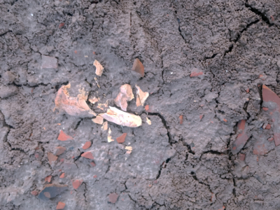 ancient human bones, archaeological site, Tulamba