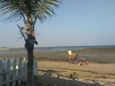 French Beach camel, Karachi