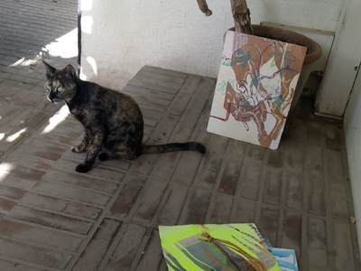 Collages and cat, outside the door of my room, Karachi